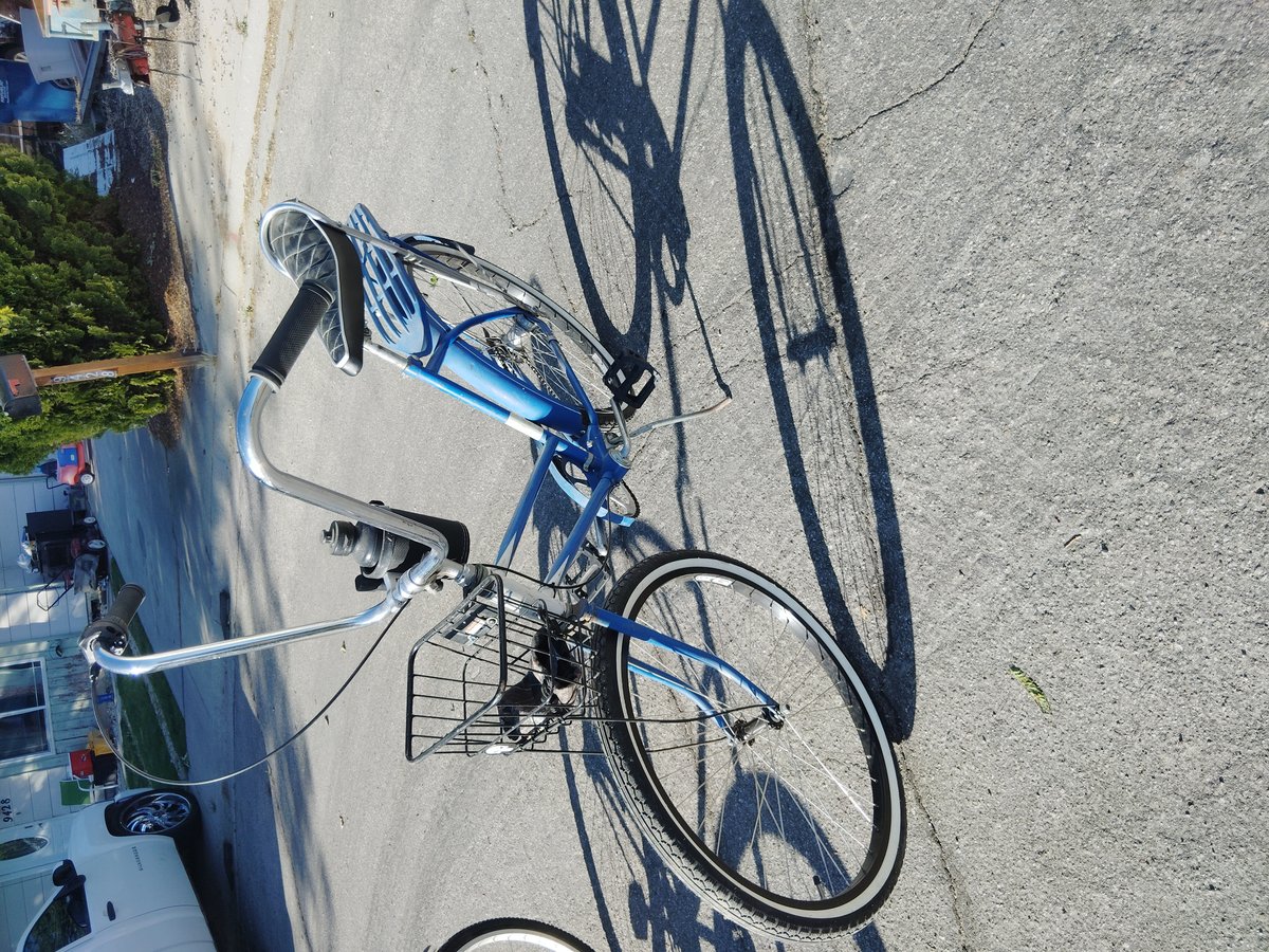 bananna seat bike